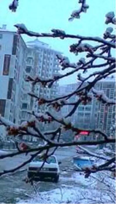 Malatya'da zirai don uyarısı
