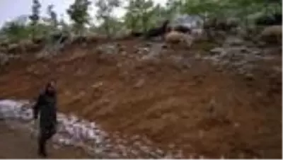 Mayıs sonunda yağan kar besicileri yayladan köye döndürdü