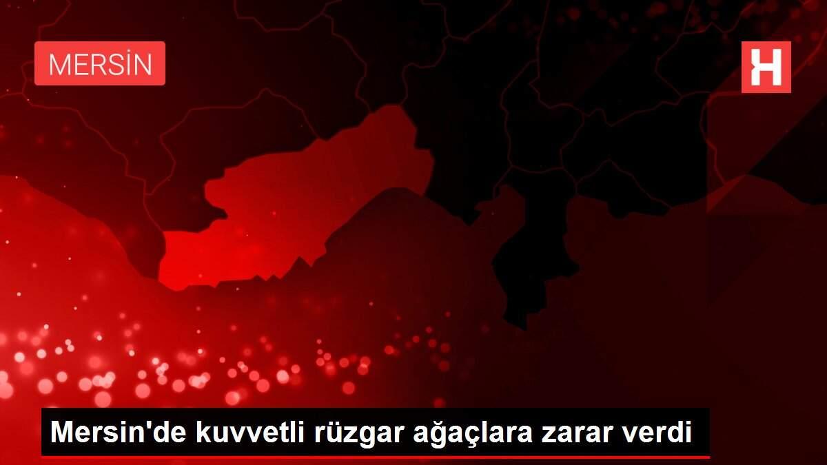 Mersin'de kuvvetli rüzgar ağaçlara zarar verdi