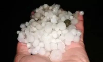 Misket büyüklüğündeki dolu, bahçelere zarar verdi