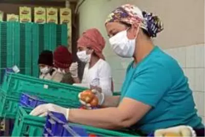 Antalyalı çiftçiler Türkiye'nin sebze ve meyve ihtiyacını karşılamak için bayramı seralarda geçiriyor Antalyalı çiftçiler Türkiye'nin sebze ve meyve ihtiyacını karşılamak için bayramı seralarda geçiriyor