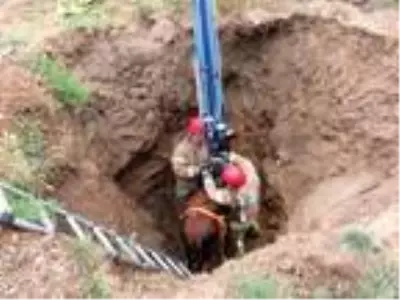 Pendik'te inek kurtarma operasyonu-2