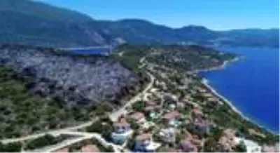Sanatçı Haluk Levent'den Kaş yangını paylaşımı Açıklaması Sanatçı Haluk Levent'den Kaş yangını paylaşımı Açıklaması