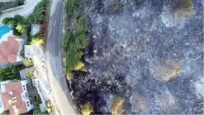 Sanatçı Haluk Levent'den Kaş yangını paylaşımı Açıklaması Sanatçı Haluk Levent'den Kaş yangını paylaşımı Açıklaması