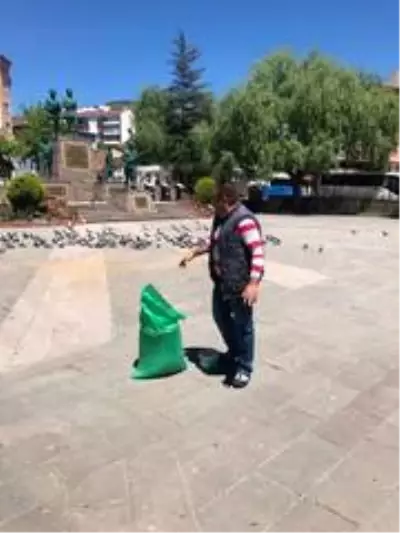Sokağa çıkma yasağında sokak hayvanlarının beslenmesini üstlendiler Sokağa çıkma yasağında sokak hayvanlarının beslenmesini üstlendiler
