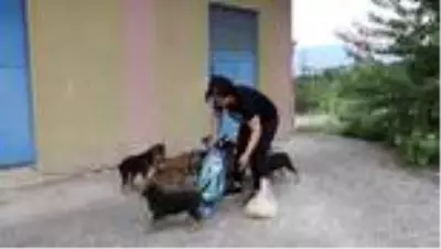 Sokak hayvanlarını unutmadılar
