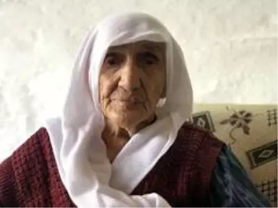 Asırlık çınarın en buruk bayramı Asırlık çınarın en buruk bayramı