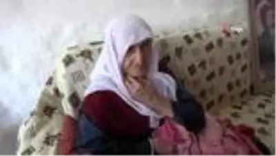 Asırlık çınarın en buruk bayramı