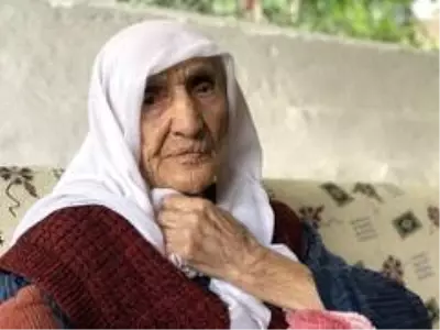 Asırlık çınarın en buruk bayramı Asırlık çınarın en buruk bayramı