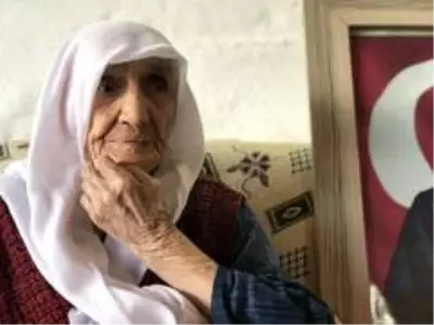 Asırlık çınarın en buruk bayramı Asırlık çınarın en buruk bayramı