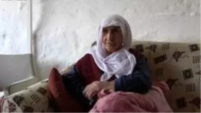 Asırlık çınarın en buruk bayramı Asırlık çınarın en buruk bayramı