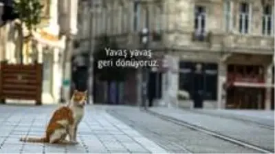 Bakan Koca: Bakan Koca:
