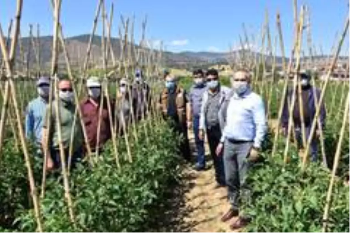 Bayramı tarlada geçiren çiftçilere ziyaret