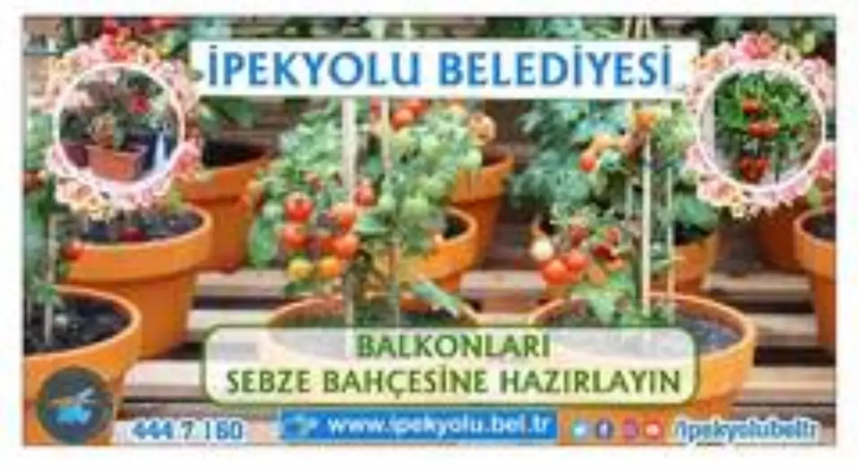 İpekyolu'nda balkonda tarım dönemi