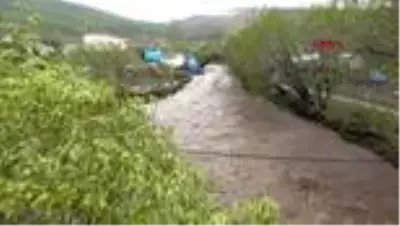KARS Hızı 70 kilometreye ulaşan fırtına ağaçları devirdi yuvalardaki kuşlar telef oldu KARS Hızı 70 kilometreye ulaşan fırtına ağaçları devirdi yuvalardaki kuşlar telef oldu