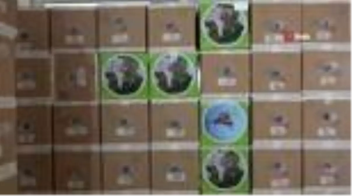 Katil arılara karşı biyolojik mücadele