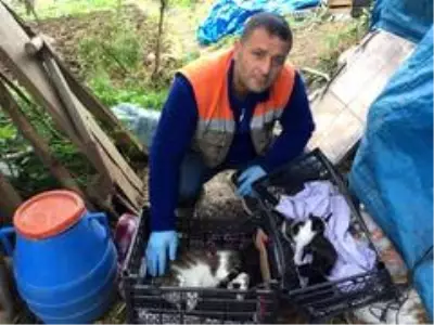 Kedinin Yardımına Akçaabat Belediyesi Koştu Kedinin Yardımına Akçaabat Belediyesi Koştu