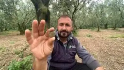 Bursalı çiftçi, tarlasında bulduğu 2200 yıllık sikkeyi müzeye teslim etti.