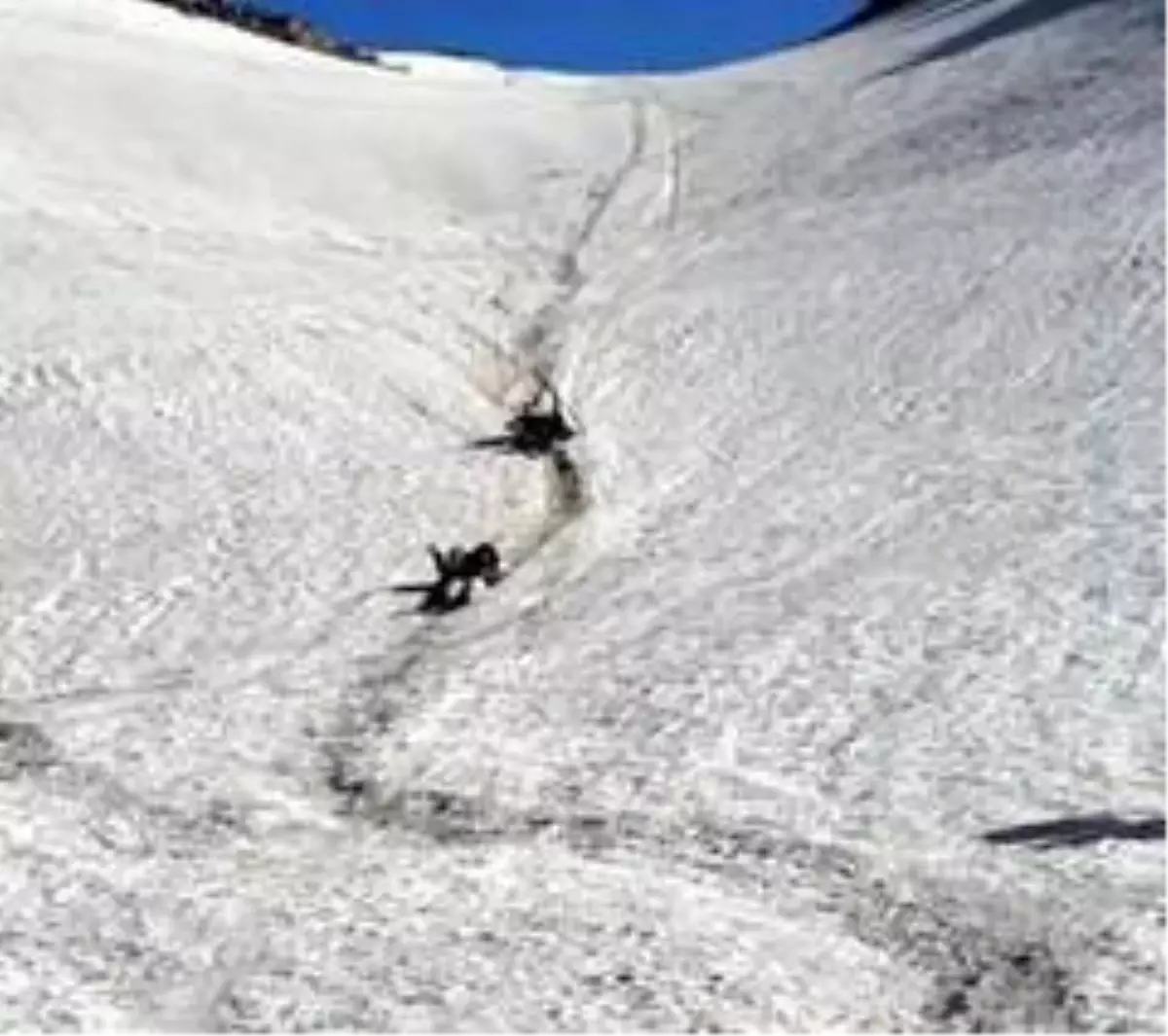 Pancar toplayan gençlerin kayma keyfi