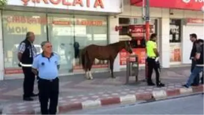 Sokağa çıkma kısıtlamasında uygulamaya bu kez sahipsiz at takıldı Sokağa çıkma kısıtlamasında uygulamaya bu kez sahipsiz at takıldı
