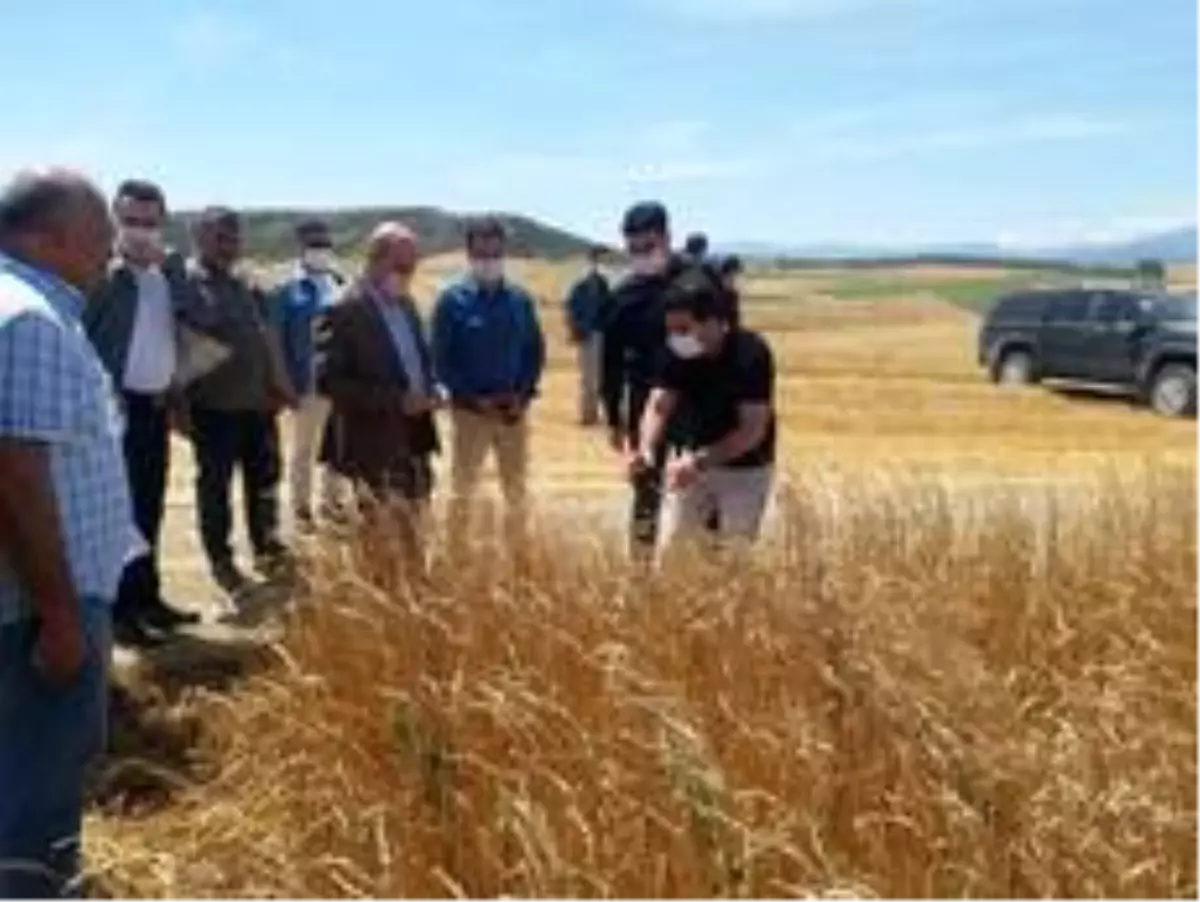 Vali Demirtaş'tan çiftçilere 'geçmiş olsun' ziyareti