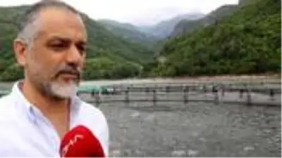 ABD'deki genel müdürlüğü bırakıp Karadeniz somonu yetiştirmeye başladı, yılda 500 milyon lira kazanıyor ABD'deki genel müdürlüğü bırakıp Karadeniz somonu yetiştirmeye başladı, yılda 500 milyon lira kazanıyor