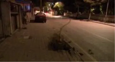 Alkollü halde çarptığı ağaçla 3 kilometre yol gitti Alkollü halde çarptığı ağaçla 3 kilometre yol gitti