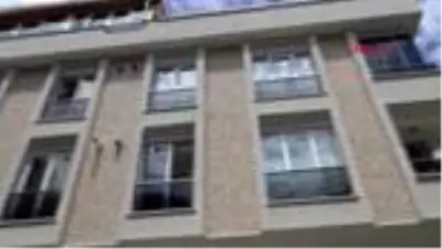 AVCILAR'DA İTFAİYEDEN KUŞ KURTARMA OPERASYONU AVCILAR'DA İTFAİYEDEN KUŞ KURTARMA OPERASYONU