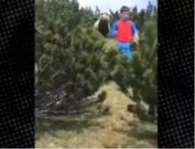 Ayıdan kaçan çocuk videosunun kahramanı Alessandro: Yine karşılaşmak isterim, ama biraz daha uzaktan Ayıdan kaçan çocuk videosunun kahramanı Alessandro: Yine karşılaşmak isterim, ama biraz daha uzaktan