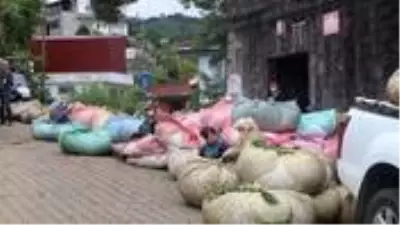 Çay toplayanlar, ürünlerini kota koyarak aldığı için ÇAYKUR’a tepkili