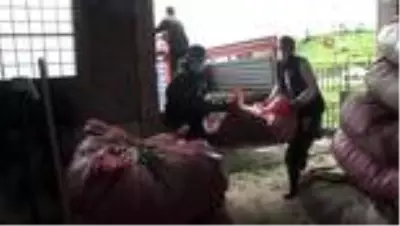 Çay toplayanlar, ürünlerini kota koyarak aldığı için ÇAYKUR'a tepkili Çay toplayanlar, ürünlerini kota koyarak aldığı için ÇAYKUR'a tepkili