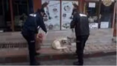 Emet polisi yaşlılara yardım etti, sokak hayvanlarını doyurdu Emet polisi yaşlılara yardım etti, sokak hayvanlarını doyurdu