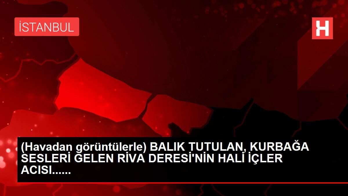 (Havadan görüntülerle) BALIK TUTULAN, KURBAĞA SESLERİ GELEN RİVA DERESİ'NİN HALİ İÇLER ACISI...... (Havadan görüntülerle) BALIK TUTULAN, KURBAĞA SESLERİ GELEN RİVA DERESİ'NİN HALİ İÇLER ACISI......