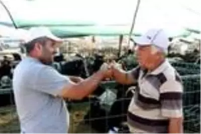 Hayvan pazarlarında tokalaşma tarihe karışıyor Hayvan pazarlarında tokalaşma tarihe karışıyor