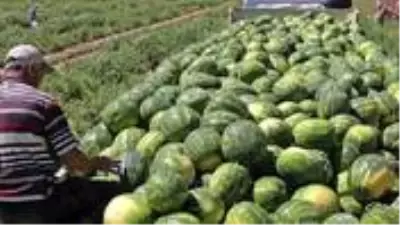 İthal karpuz için ton başına alınan verginin 75 dolardan 300 dolara çıkartılması üreticileri sevindirdi İthal karpuz için ton başına alınan verginin 75 dolardan 300 dolara çıkartılması üreticileri sevindirdi