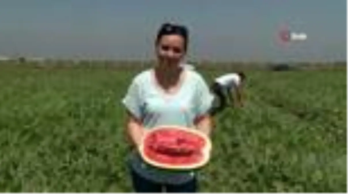 Karpuzda ithalatı bitirecek karar