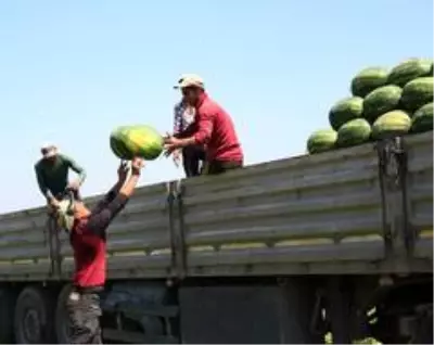 İthal karpuz için ton başına alınan verginin 75 dolardan 300 dolara çıkartılması üreticileri sevindirdi İthal karpuz için ton başına alınan verginin 75 dolardan 300 dolara çıkartılması üreticileri sevindirdi