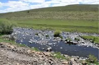 Kars Çayı'nda sular çekildi, balıklar mahsur kaldı Kars Çayı'nda sular çekildi, balıklar mahsur kaldı