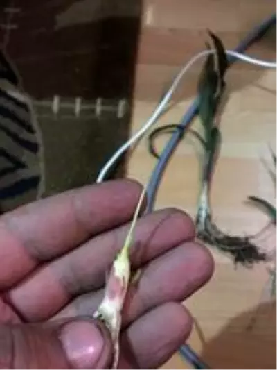 Öğretim üyesi üreticileri uyardı Öğretim üyesi üreticileri uyardı