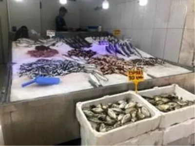 Koronavirüs nedeniyle balık fiyatları düşerken, balıkçılar vatandaşlara 'Balık yiyin' çağrısı yaptı Koronavirüs nedeniyle balık fiyatları düşerken, balıkçılar vatandaşlara 'Balık yiyin' çağrısı yaptı