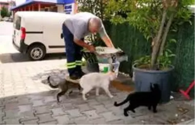 Sokaktaki can dostlar emin ellerde Sokaktaki can dostlar emin ellerde