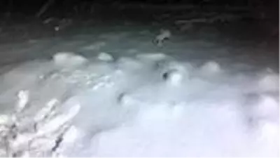 Afyonkarahisar'ın Kumalar Yaylası'na haziran ayına 3 gün kala kar yağdı Afyonkarahisar'ın Kumalar Yaylası'na haziran ayına 3 gün kala kar yağdı