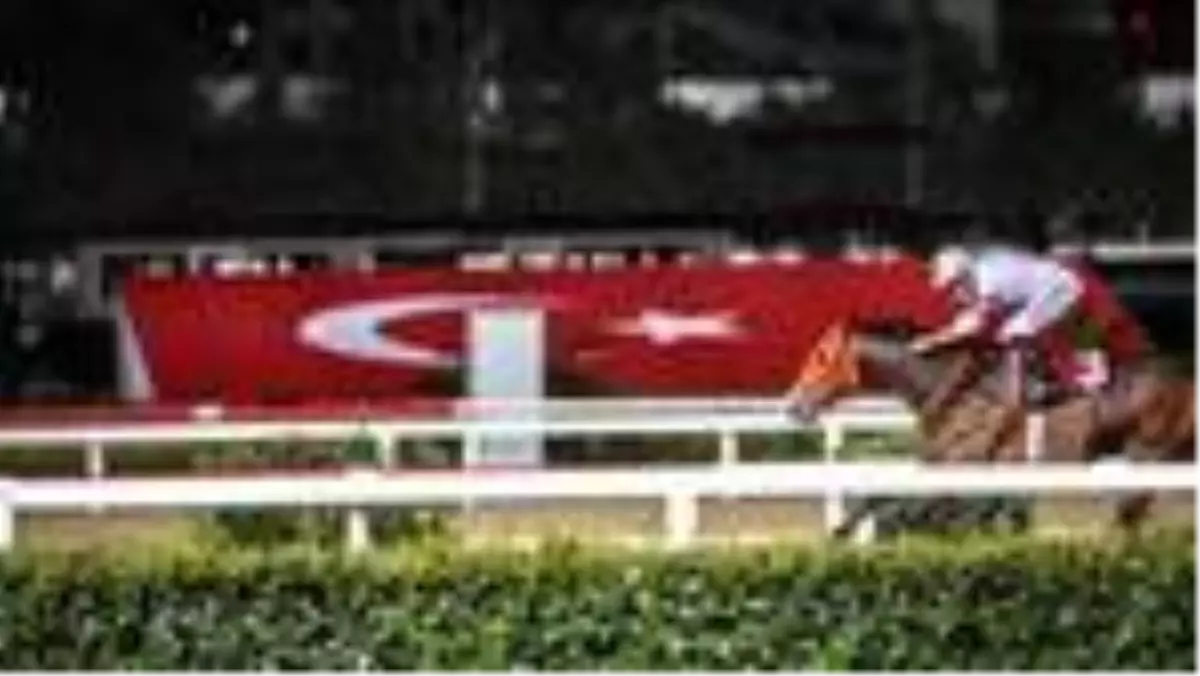 At yarışları başlıyor! Tarih açıklandı