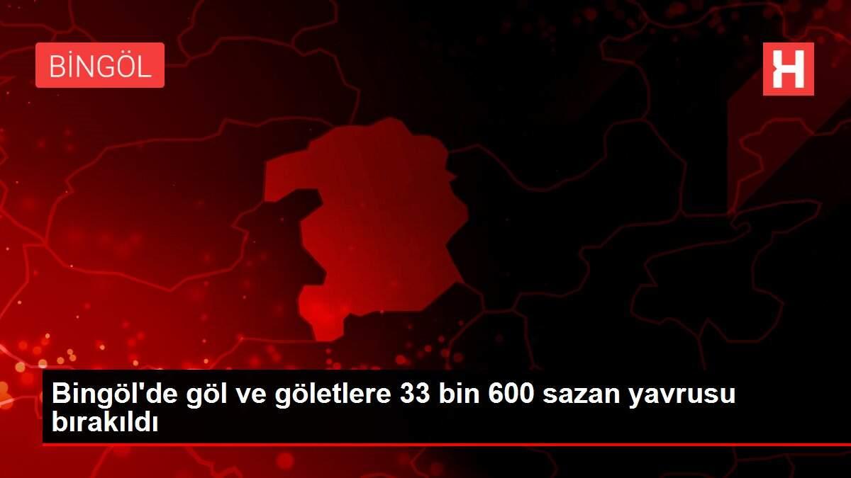 Bingöl'de göl ve göletlere 33 bin 600 sazan yavrusu bırakıldı
