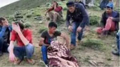 Bitlis'te çobanlık yapan 3 çocuk babası, yıldırım çarpması sonucu vefat etti Bitlis'te çobanlık yapan 3 çocuk babası, yıldırım çarpması sonucu vefat etti