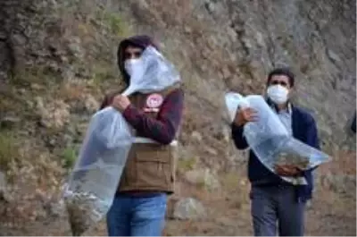 Demirci'de 9 bin balık yavrusu suyla buluştu