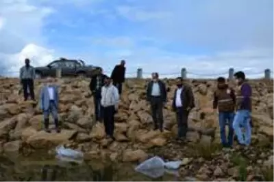Demirci'de 9 bin balık yavrusu suyla buluştu