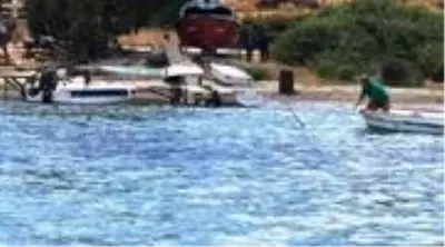 Vahşet anları kameraya anbean yansıdı! Köpek balığını işkence ederek öldürdüler Vahşet anları kameraya anbean yansıdı! Köpek balığını işkence ederek öldürdüler