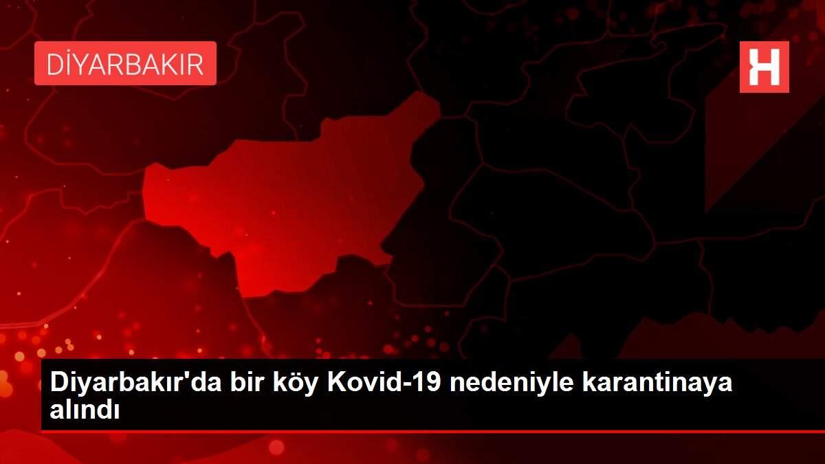 Diyarbakır'da bir köy Kovid-19 nedeniyle karantinaya alındı