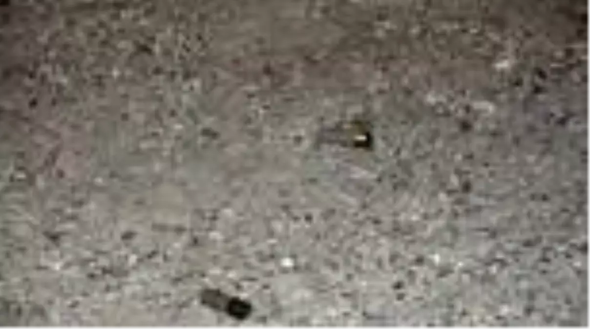 Havaya ateş açan iki kişi gözaltına alındı